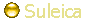  Suleica
